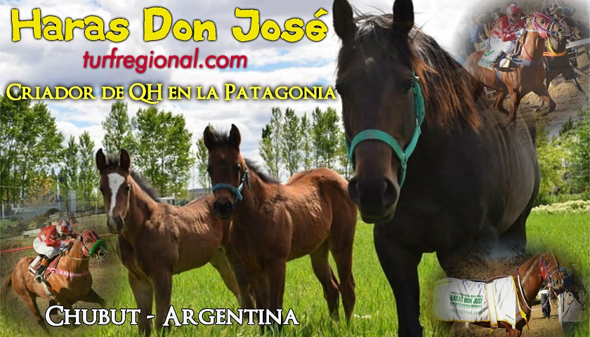 El futuro ya está aquí… el Haras Don José criando QH en la Patagonia con tecnología y genética de última generación