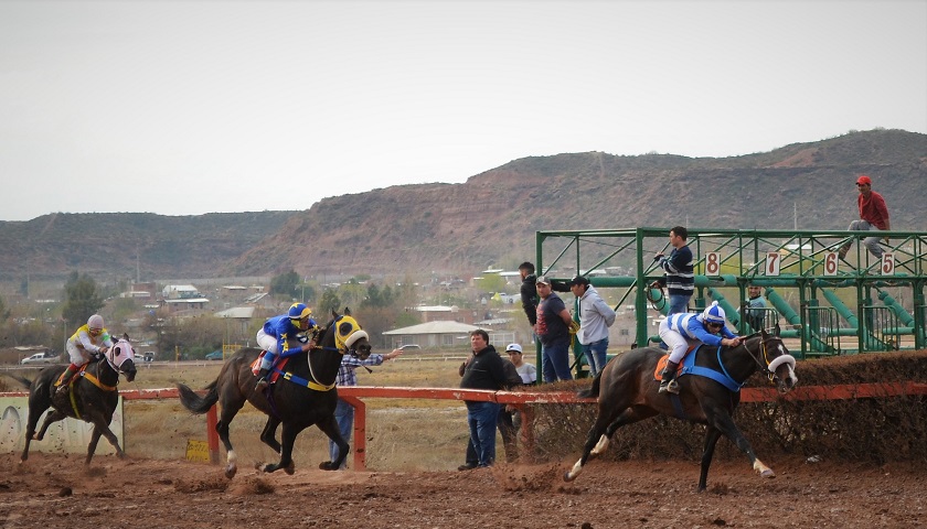 Estamos en vivo desde el Hipódromo de Neuquén, seguí las instancias del regreso del turf regional. Aquí todos los resultados