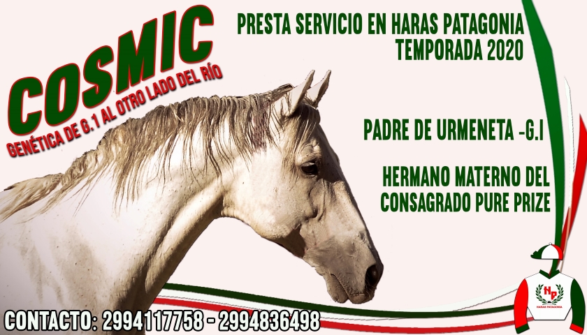 Genetica de Grupo 1 al otro lado del río… servicios disponibles de Cosmic (USA) en Haras Patagonia