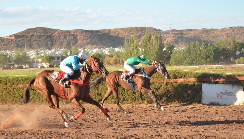 Los vídeos de la jornada de turf del 8 de marzo en el Hipódromo de Neuquén