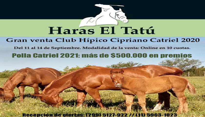 Cerró el segundo día de ofertas del remate de Haras El Tatú, aquí el resumen. Las ofertas se toman hasta el lunes a las 18 hs.