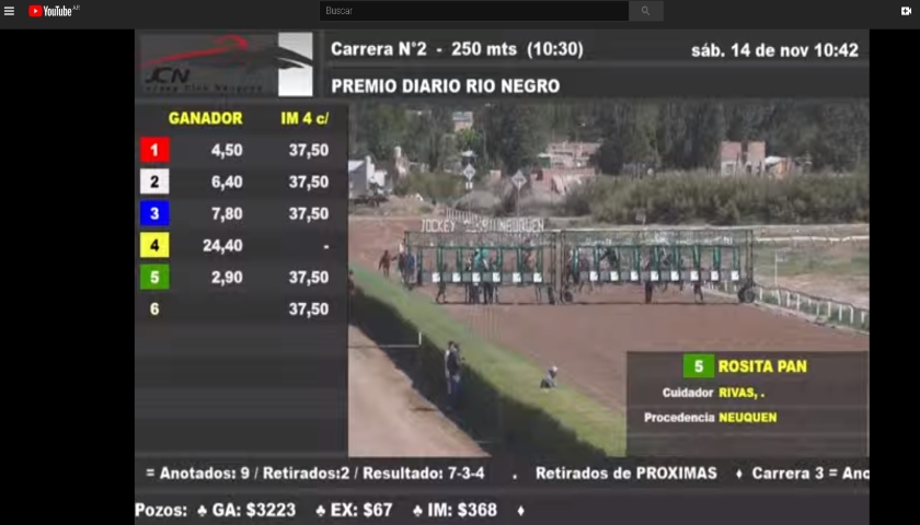 En vivo toda las instancias del programa del Hipódromo de Neuquén, además link de juego virtual