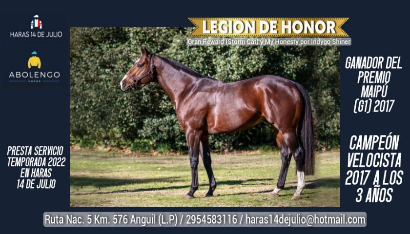 El “Campeón Sprinter” Legion de Honor es el nuevo padrillo del Haras 14 de Julio