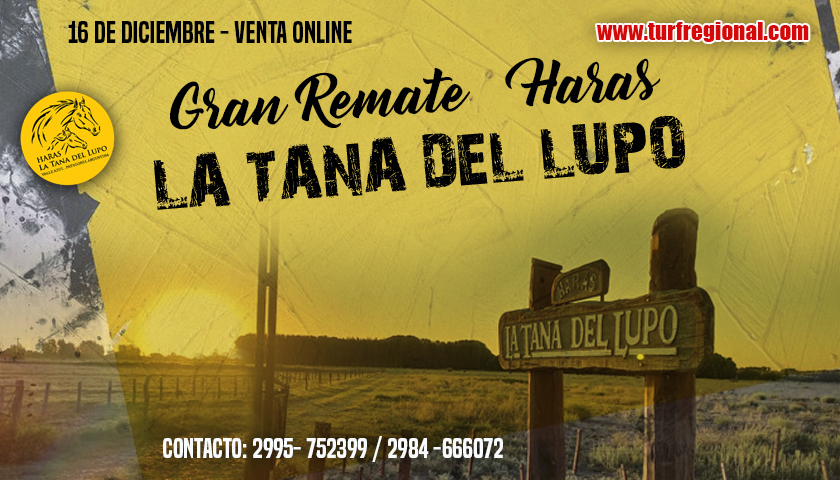 El Sábado 16 de Diciembre Gran Remate Online de Haras La Tana del Lupo. Aquí las Fotos, Videos y Catalogo de los productos