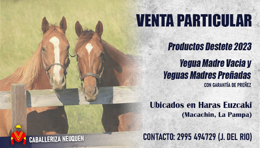 Salen en VENTA DIRECTA Particular Productos Destetes 2023 y Yeguas Madres