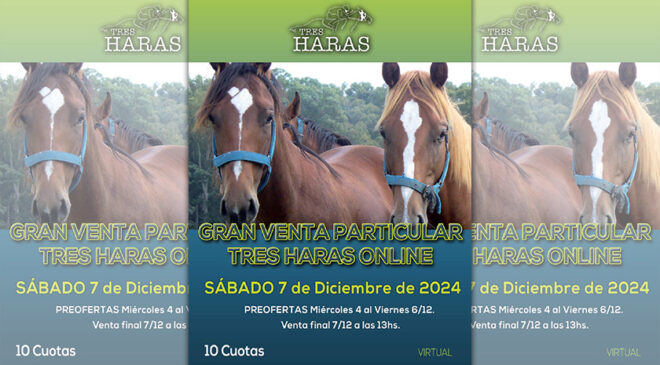 Sábado 7 de Diciembre Venta particular TRES HARAS ONLINE