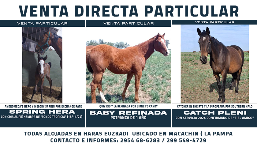 Venta Directa Particular de producto 2023 y dos Yeguas Madre